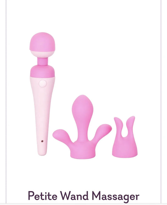 Petite mini wand massager kit
